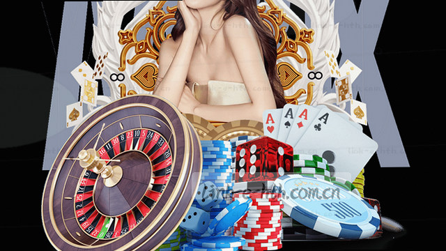 技术支持范围